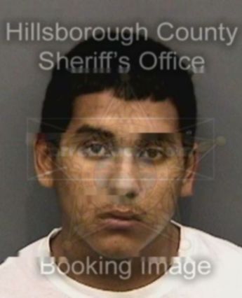 David Ibarra