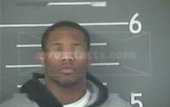 Bruce D Haynes