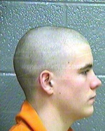 Briceton Trace Hollander
