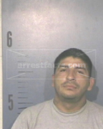 David Cerda Flores