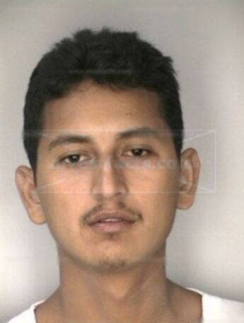 Arnulfo R Pena
