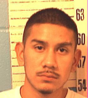 Joel Flores Ortiz