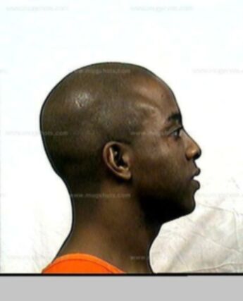 Lester Lee Brown