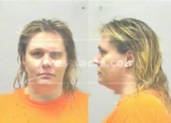 Sherrie Lynn Fink