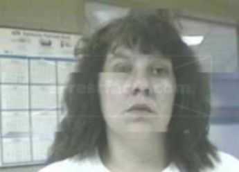 Brenda L Castle