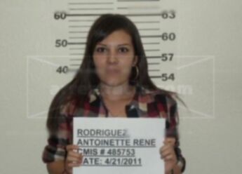 Antoinette Rene Rodriguez