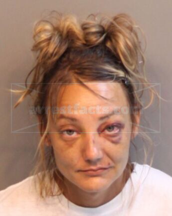 Amanda Beth Raines