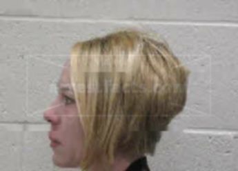 Robin Elaine Vaughn