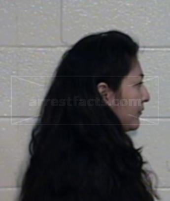 Eva Erika Castillo Bernal