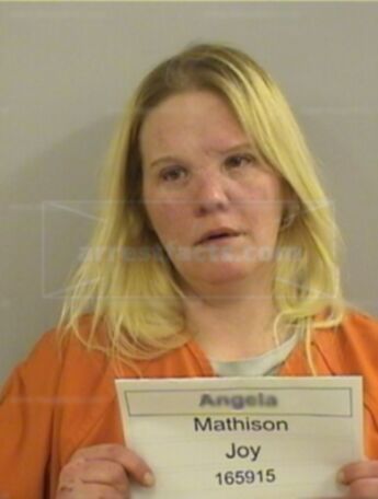 Angela Joy Mathison