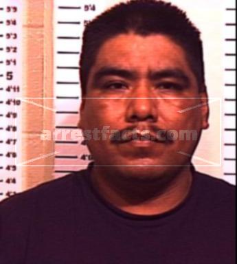 Nicolas Trinidad Estrada