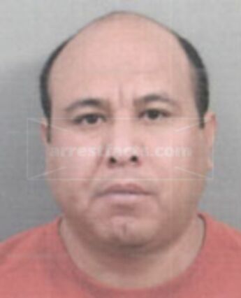 Jose Caseli Beltran