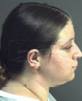 Heather Michelle Howard