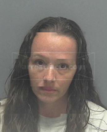 Amy Lee Lowell