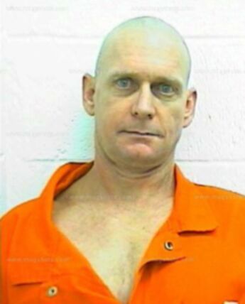 David L Collins