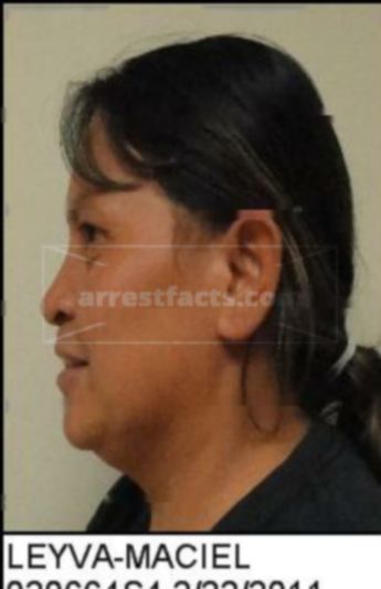 Elvira Leyva-Maciel