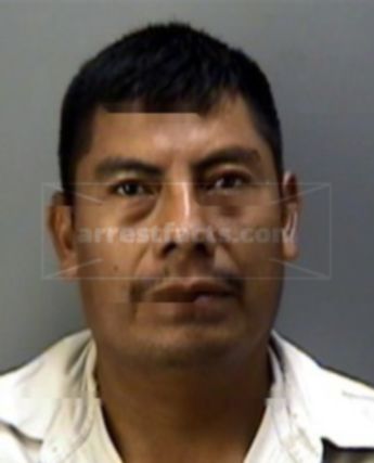 Celerino Bautista