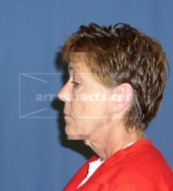 Susan A Herek