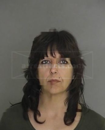 Lisa Ann Barnard