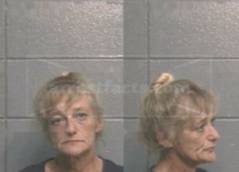 Patricia Ann Lehman