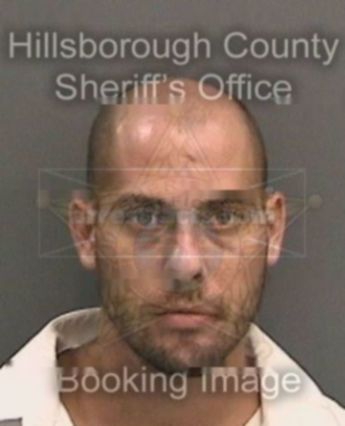David M Whitt