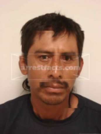 Delfino Pileno Albarado