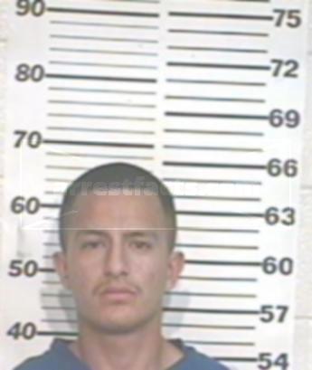 Ricardo Tamez Maldonado