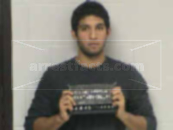 Rodrigo Guzman-Sanchez