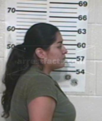 Liliana Noriega Trevino