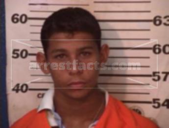 Raudel Mireles Salinas