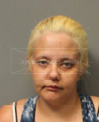 Brandi Nicole Ellison