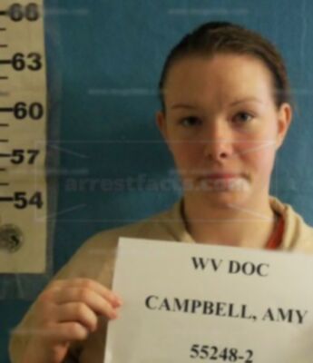 Amy L Campbell