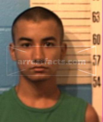 Andrew Louie Barajas
