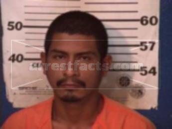 Javier Guzman* Nerio