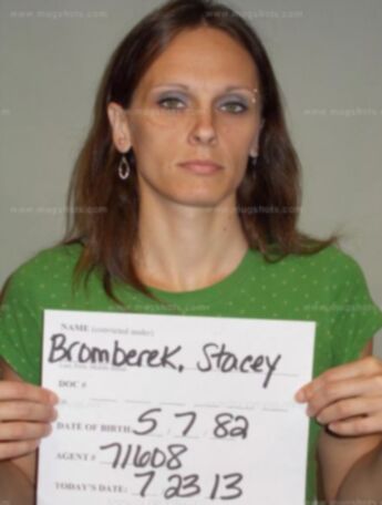 Stacey M Bromberek