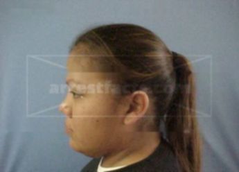 Michelle L Marris