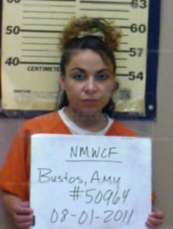 Amy L. Bustos
