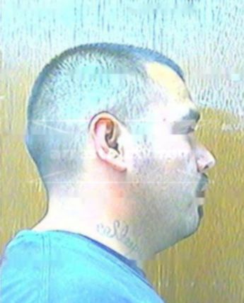 Manuel J Herrera