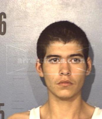 Dale Louis Meyer