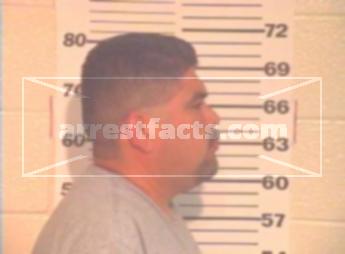 Carlos Domingo Martinez