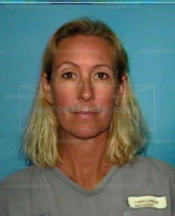 Lesley S Lynch