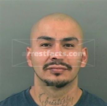 David Chavira