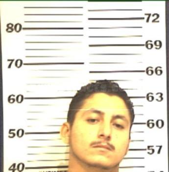 Hector Raul Sanmiguel