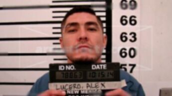 Alex Alvino Lucero