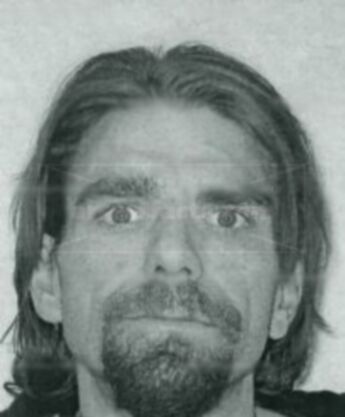Robert J Bell