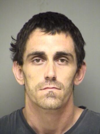 Shane Martin Ellis
