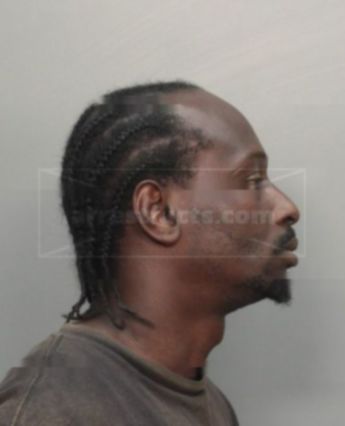Torreya Bernard Burrows
