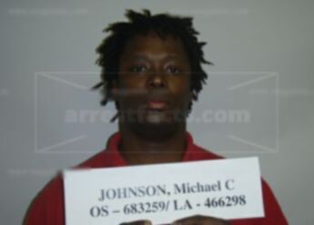 Michael C Johnson