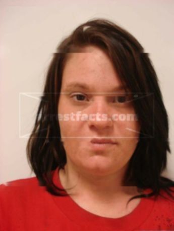 Michelle Perry Alden