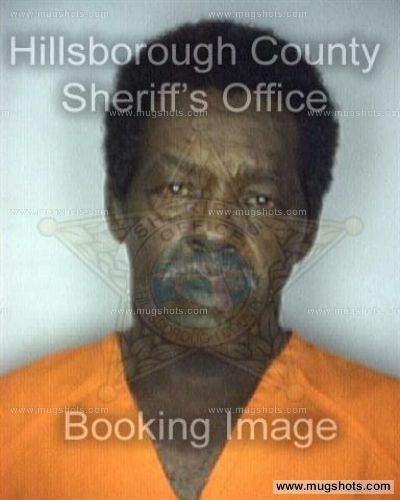 Lester Junior Maple